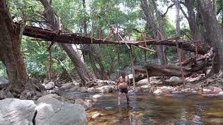 களக்காடுமுண்டந்துறைபுலிகள் சரணாலயம் மேற்கு தொடர்ச்சி மலை tourist travel [upl. by Bokaj]