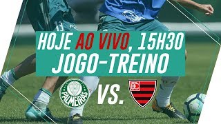 ÍNTEGRA JOGOTREINO  PALMEIRAS 1 X 1 OESTE [upl. by Acalia]