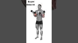 Zottman curl Biceps Exercise [upl. by Craner]