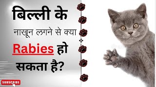 बिल्ली के नाखून लगने से क्या rabies हो सकता है  Cat nail scratch amp rabies nails scratch cat [upl. by Trawets726]