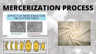 Mercerization process  mercerizing process in textile  mercerization process of cotton fabric [upl. by Trotta715]