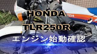 HONDA TLR250R エンジン始動＆機能確認動画 [upl. by Harness]