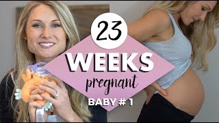 23 WEEKS PREGNANCY UPDATE  Nursing Chair Shopping Emotional OB Visit and Everything else [upl. by Vernor]