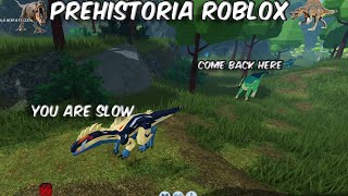 Get Chase By Para Its Not Stopping megalosaurus Survival Prehistoria Roblox [upl. by Naot]