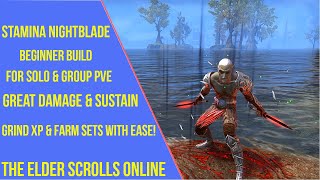 ESO Stamina Nightblade Beginner PVE Build [upl. by Bethina]