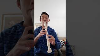 Recorder Sound Comparison Soprano vs Alto vs Tenor 2 [upl. by Lerner38]