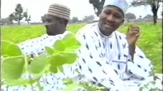 Fati  Hausa Movie Song [upl. by Sonja]