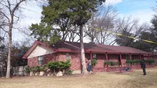 How to cut a Tree down close to a house [upl. by Mika]