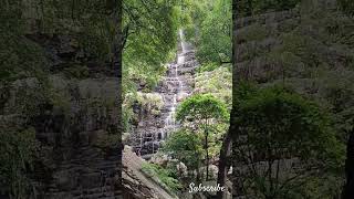 talakona waterfalls in Tirupati [upl. by Aneba]