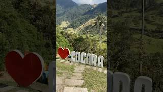 Valle del cocora quindio salento [upl. by Earas]