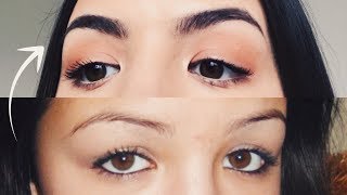 HOW TO GROW THICKER EYEBROWS NATURALLY amp FAST [upl. by Karrah619]