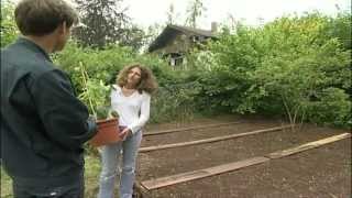 Gartentipps Beet anlegen ein Bauernbeet selbst gemacht [upl. by Notsag]