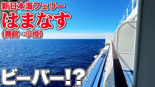 【新日本海フェリー】「はまなす」デラックス（洋室）で舞鶴から小樽まで21時間の船旅。欲にまみれた乗船記【エンイチぶらり旅】 [upl. by Samau612]