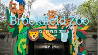 Going to Brookfield Zoo [upl. by Anivek954]