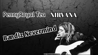 Pennyroyal Tea  Nirvana Lyrics [upl. by Herries]