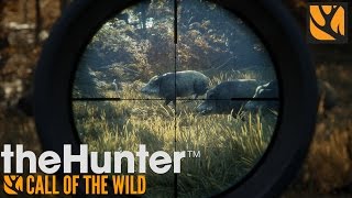 THE HUNTER 1 CHEVREUIL  1 RENARD  1 SANGLIER  1 [upl. by Aznarepse]