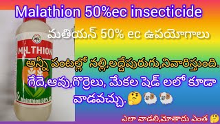 malathion insecticide టమాటోబెండచిక్కుడునిమ్మ వంటి అన్ని రకాల పంటల్లోవాడవచ్చుషెడ్ లలోవాడవచ్చు [upl. by Etolas]