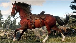 Red Dead 2 Online What to Do If Your Horse Dies No More Scrawny Nag [upl. by Shawna588]