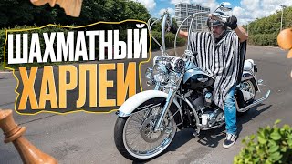 Харлей помексикански HarleyDavidson Softail Deluxe в стиле чикано МОТОЗОНА 233 [upl. by Silver]