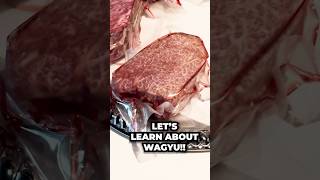 Learn About Wagyu Steak Japanese A5 vs American [upl. by Hsaniva]