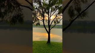 Sunset Serenity at Lower Seletar Reservoir  Peaceful Evening with Ilayaraja’s Melody 🇸🇬💚 [upl. by Lusty825]