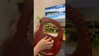 Lyre Harp 16 String Walter Premium Hollow Mahogany sound test [upl. by Allicirp]