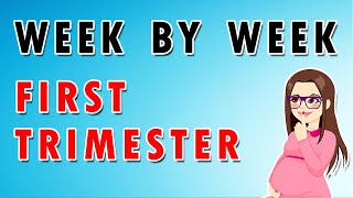 Week by Week First Trimester [upl. by Ailat946]