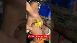 Cannulation for baby 👶  baby babycannula trending shorts neet SMpharmacy plz subscribe [upl. by Euqinwahs]