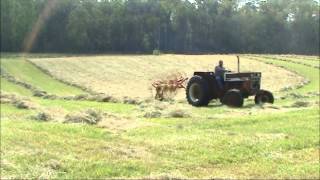 Raking Hay with IH584 and 6Wheel Rake June 2014 [upl. by Haida]