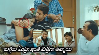 Mahesh Babu Anushka Shetty And Brahmanandam Non Stop Comedy Scenes  Khaleja  Movie Ticket [upl. by Ardni88]