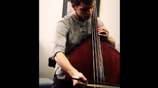 Dittersdorf  Double bass concerto in E Dur  1st movement [upl. by Rbma]