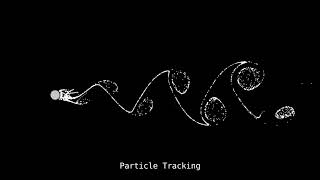 Simulación de la Calle de Vórtices de Von Karman a RE100 hecho en Fortran [upl. by Roleat522]