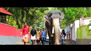 Thamburan ezhunnalli Karnan elephant song [upl. by Esilrac]