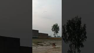 Javelin throw shortgurpreet singh javelinthrow shortvideo sports viralshort slowmotion short [upl. by Nnaael]