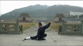 Wudang Five Animals Qi Gong 武当五行气功 [upl. by Bouton]