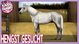 Der passende Zuchthengst 🐎 Equine Passion 3 [upl. by Moffit390]