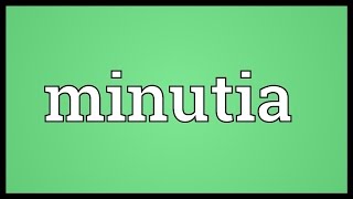 Minutia Meaning [upl. by Eilsek]