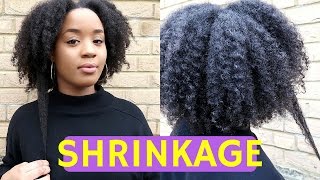 HOW TO PREVENT SHRINKAGE  Natural Hair [upl. by Aihsein]