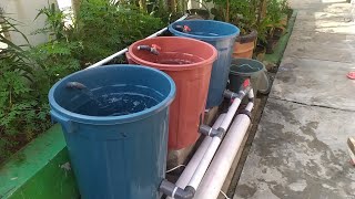 DIY  How to build simple RAS system for catfish ponds using bucket  Aquaponic system Part 1 [upl. by Arateehc981]