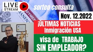 Visa de TRABAJO sin EMPLEADOR Que Hacer [upl. by Pressman]