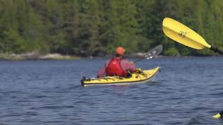 Sea Kayak Eco Tour  Ketchikan Alaska [upl. by Anitnas572]