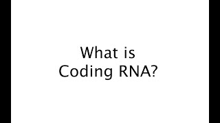 What is Coding RNA 35 [upl. by Bar]