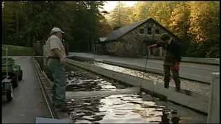 Walhalla State Fish Hatchery [upl. by Hubing113]