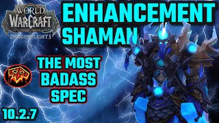 BEST OF Enhancement Shaman 1027 Dragonflights [upl. by Repinuj88]