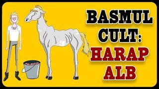 Harap Alb Basm Cult ZAIABAC 3 [upl. by Obellia8]