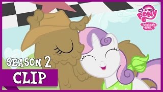 The Race Sisterhooves Social  MLP FiM HD [upl. by Akihdar]