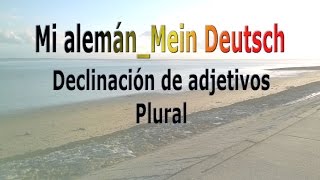 Mi alemán Mein Deutsch Declinación de adjetivos plural [upl. by Edwyna493]