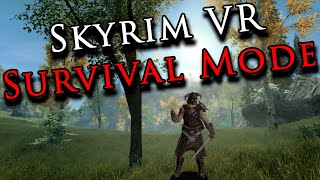 I Turned Skyrim VR Into an INSANE Hardcore Survival Game [upl. by Ayanaj]