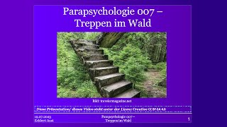 Treppen im Wald 1  Parapsychologische Theorie 007 [upl. by Basset]