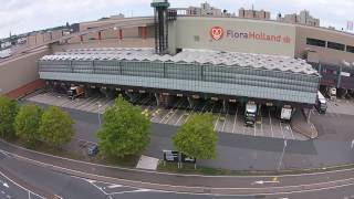 FloraHolland Naaldwijk Westland [upl. by Ibocaj374]